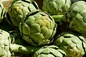 Alcachofa
